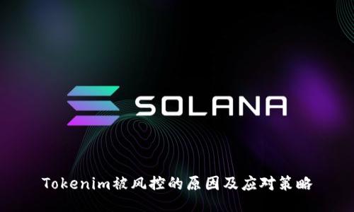 Tokenim被风控的原因及应对策略