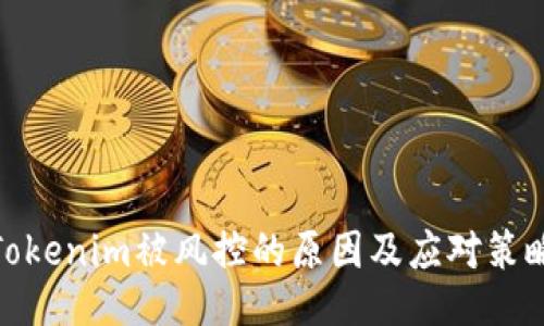 Tokenim被风控的原因及应对策略