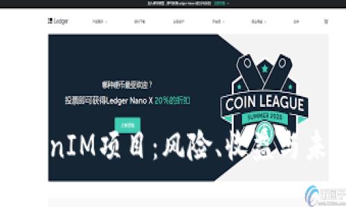 投资TokenIM项目：风险、收益与未来展望