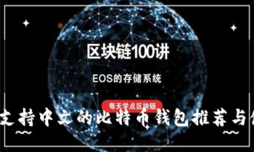 2023年支持中文的比特币钱包推荐与使用指南