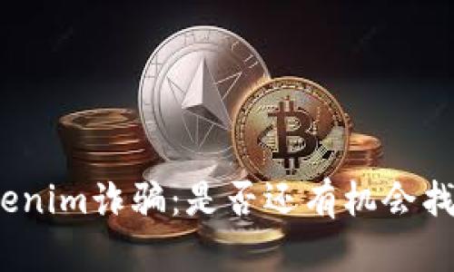 探讨Tokenim诈骗：是否还有机会找回损失？