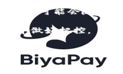 在讨论“tokenim在国内违法