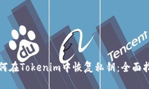 如何在Tokenim中恢复私钥:全面指南