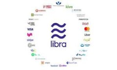 如何在电脑上下载和使用