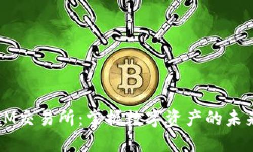 IM交易所：掌握数字资产的未来