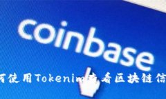 如何使用Tokenim查看区块链