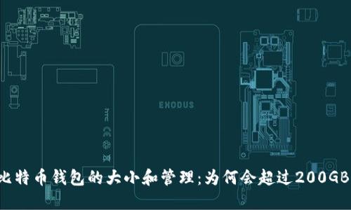 比特币钱包的大小和管理：为何会超过200GB？