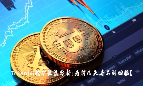 Tokenim挖矿收益分析：为何几天看不到回报？