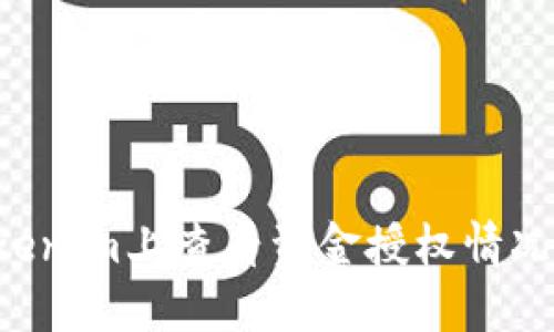 如何在Tokenim上查看资金授权情况：完整指南