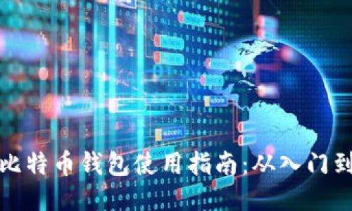 大陆比特币钱包使用指南：从入门到精通