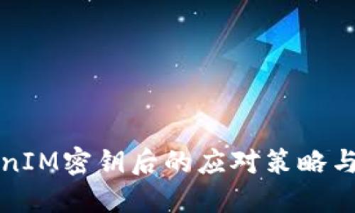 失去TokenIM密钥后的应对策略与解决方案