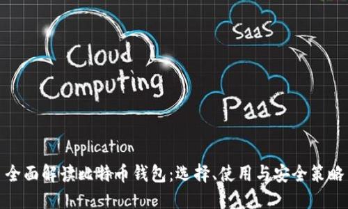 全面解读比特币钱包：选择、使用与安全策略
