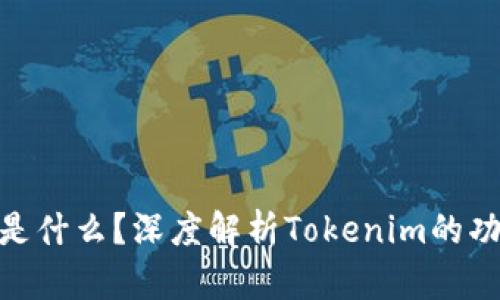 Tokenim是什么？深度解析Tokenim的功能与应用