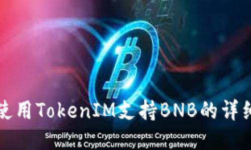 如何使用TokenIM支持BNB的详细指南