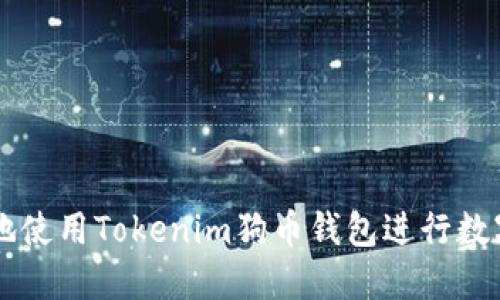 如何安全地使用Tokenim狗币钱包进行数字货币交易