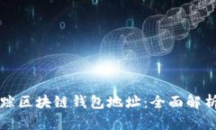 如何有效追踪区块链钱包