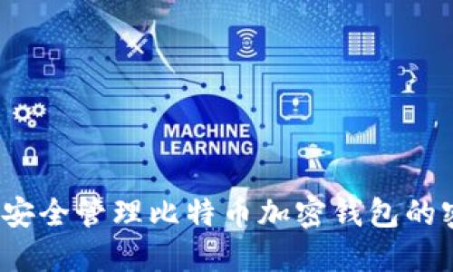 如何安全管理比特币加密钱包的密码？